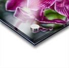 flower 12 Acrylic print