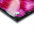 flower 16 Acrylic print