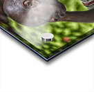 sleeping man 5 Acrylic print