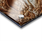 fungus Acrylic print