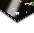 1985 Colorado State University Basketball Acrylic print