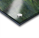 Mist in Trees Acrylic print