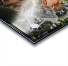 belly button Acrylic print