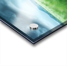 Barley Field Acrylic print