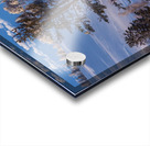 Blue Snow Acrylic print