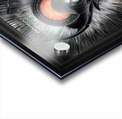 Xzendor7 Realm Of Digital Art Fractal Art Acrylic print