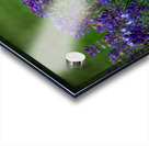 20190418 DSC 0027 Acrylic print