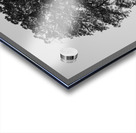 20190418 DSC 0043 2 Acrylic print