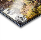 20190918 DSC 0267 4 Acrylic print