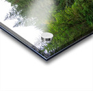 20190918 DSC 0293 Acrylic print