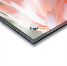 20201004 DSC 0234 Acrylic print