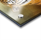 Bengal Tiger Acrylic print