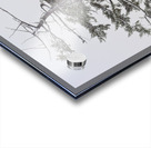 Dead or Alive Acrylic print