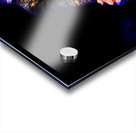 Chris Isaak 7 Acrylic print