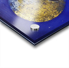 Raven Shine Acrylic print