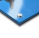 Dusty  Acrylic print