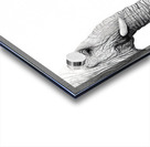 Up Close You Are More Wrinkly Than I Remember  Acrylic print