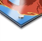 See America Acrylic print