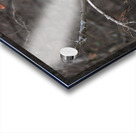 Sleepy Owl Acrylic print