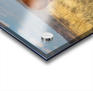 Red Bull Acrylic print