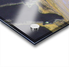 Watering Hole Acrylic print