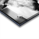 Wolf Child Acrylic print