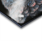 Insomniac Acrylic print