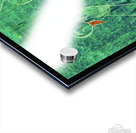 Peacock Acrylic print