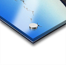 Canada Geese at Northside Park Acrylic print