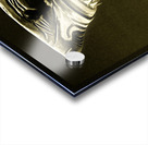 Golden Shark in Ocean City Acrylic print