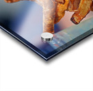 French Fries on the Boards Acrylic print