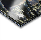 Seagull Wing Detail at the Ocean City Inlet Acrylic print