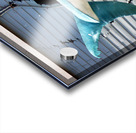 Shark Tail on the Ocean City Boardwalk Acrylic print