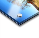 Abandoned Farmhouse and Barn in Williamsville DE Acrylic print