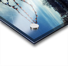 Ocean City Winterfest of Lights Pelican Acrylic print