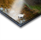 Morning Walk Acrylic print