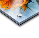 Sunflower Solitaire in the Sky Acrylic print