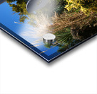 Ocean City Dune Crossing at 142nd Street Acrylic print