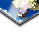 Saxoleine Acrylic print