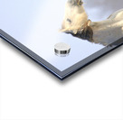 Snow White Impression Acrylique