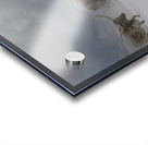 Longhorns Acrylic print