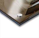 The Walk  Acrylic print