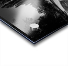 image  1  Acrylic print