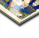 Armour Acrylic print