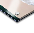 Flower Acrylic print