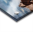 Wild Horses Acrylic print