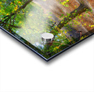 A Walk In The Park  Acrylic print