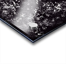 Abstract Acrylic print