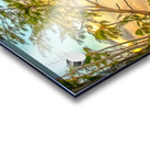 Punta Cana Beach    Acrylic print