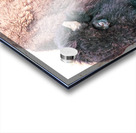 A TaTanka aka The Old Man Impression Acrylique